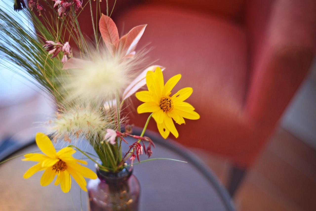 Casa Anamaria Hotel Ollers ภายนอก รูปภาพ